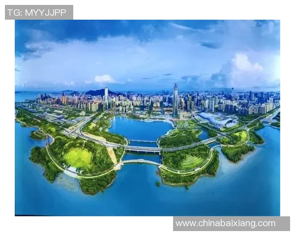 深圳飞盘队在世界街舞大赛中的崛起与成长历程全景揭秘